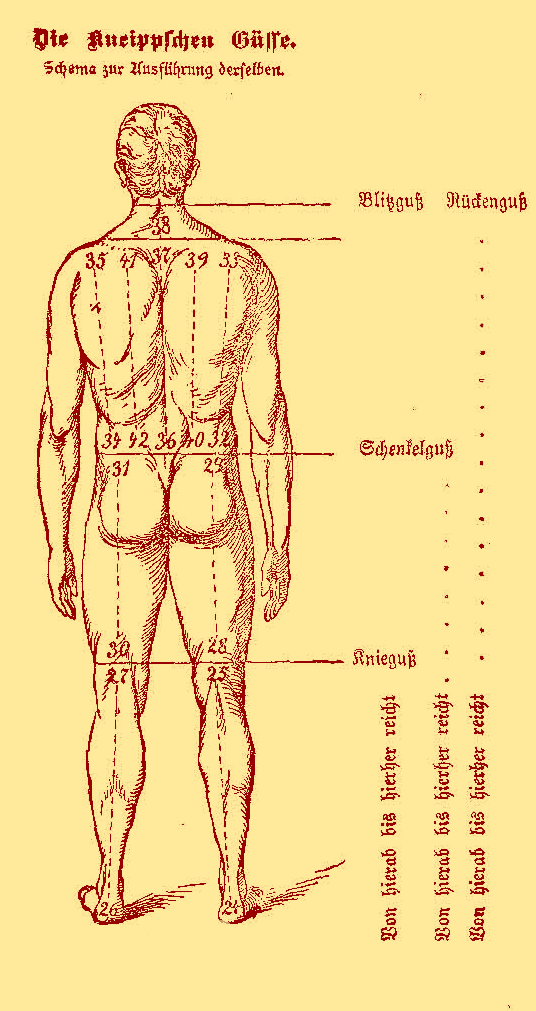 Kūno nugaros gydomųjų apipylimų schema. Pirties akademija.
